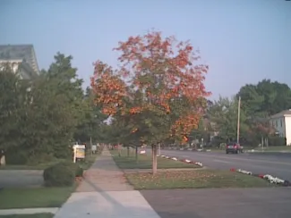 Fall [pic 2] - 2003 - Ludington, MI.